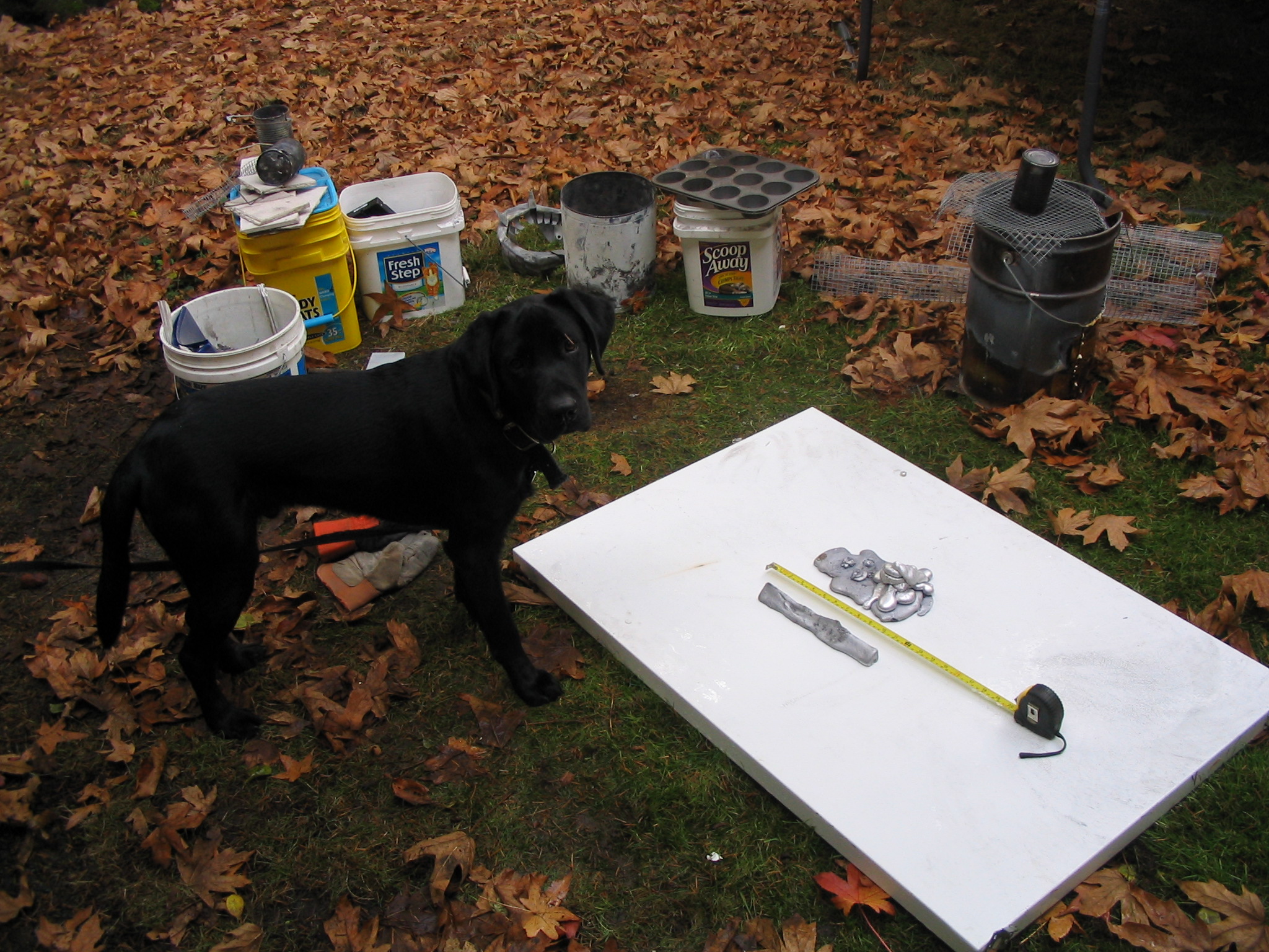 My assistant Maurice observing the art pieces