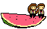 Aka and Taiki on a watermelon